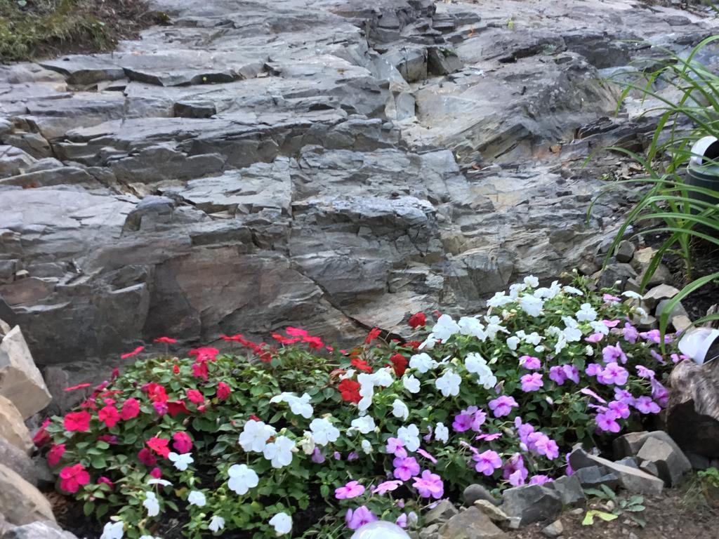 Black Boar Inn Ogunquit Eksteriør billede